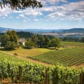 From Pints To Pinot: A Guide To Enjoying The Canadian American Beer Festival And Willamette Valley Wines